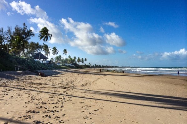 PORTO DE GALINHAS 3